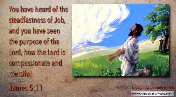 Daily Readings & Thought for December 10th.  "YOU HAVE SEEN THE PURPOSE OF THE LORD"