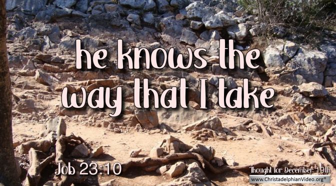 Daily Readings & Thought for December 19th. "HE KNOWS THE WAY THAT I TAKE"