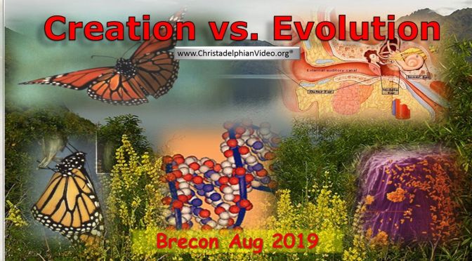 Creation vs all versions of Evolution