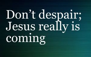 Don't Despair - Jesus Really 'IS' Coming Back!  - Dr. David Fraser Video post