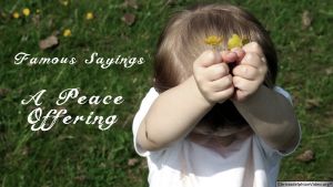 Famous Sayings: 'A Peace Offering' Video Post