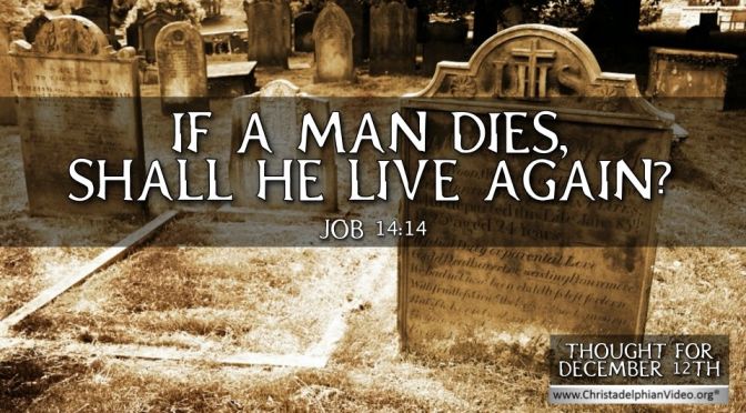 Thought for December 12th. "IF A MAN DIES, SHALL HE LIVE AGAIN"