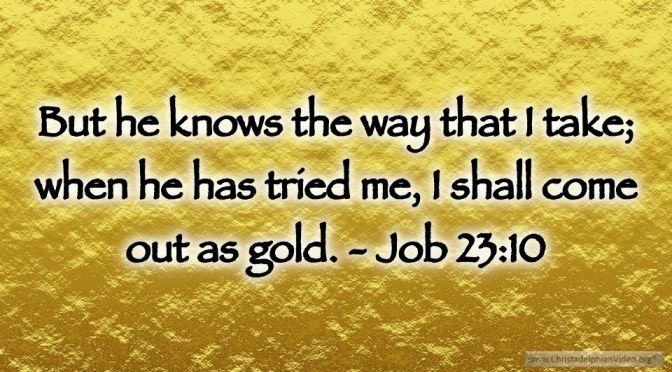 Thought for December 19th. “HE KNOWS THE WAY THAT I TAKE”