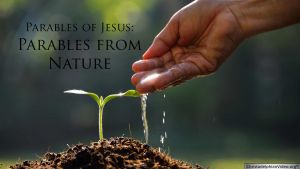 The Parable of Jesus :  Parables in Nature Video Post