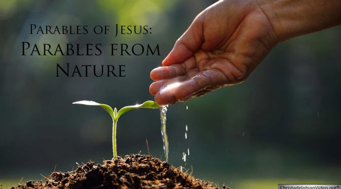 The Parable of Jesus :  Parables in Nature Video Post