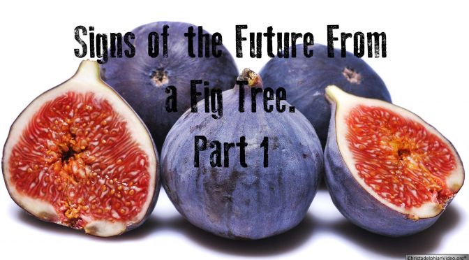 Signs of the future from a fig tree Part 1  Video Post