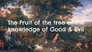 The Fruit of the Tree of the Knowledge of Good and Evil (6 Videos)