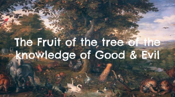 The Fruit of the Tree of the Knowledge of Good and Evil (6 Videos)