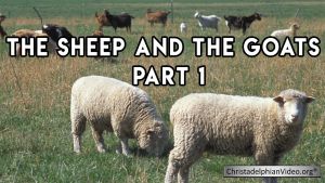 The Sheep and The Goats Seires (3 x Video) Post