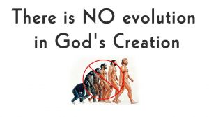 There is NO evolution in God's Creation - Video post