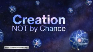 Creation: NOT by Chance Video post