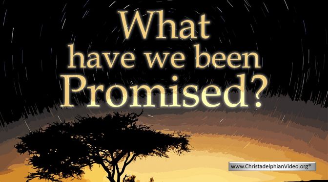 What have we been Promised? - Video Post