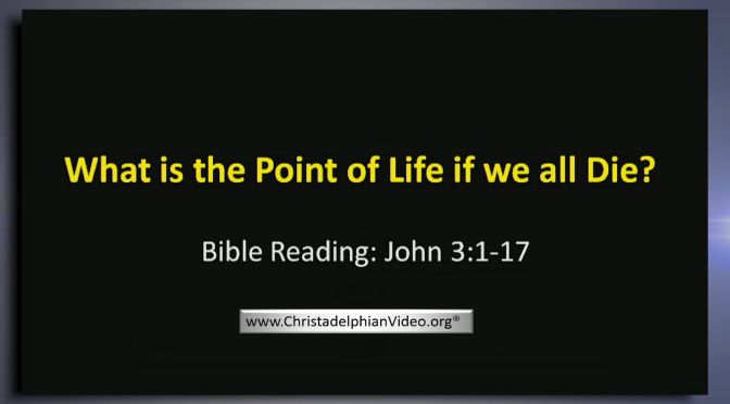 What Is the Point of Life If We All Die? Video Post