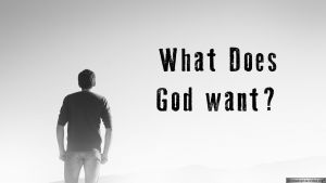 What Does God Want? New Video Release