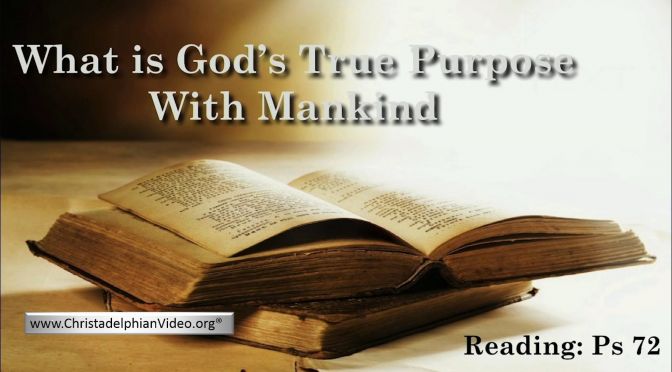 What is God's True Purpose with Mankind? Video Post