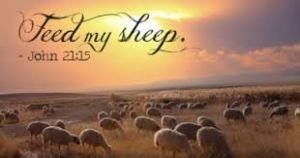 Feed My Sheep - John 21