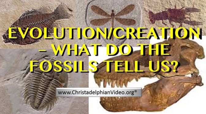 Evolution Vs Creation: What do the Fossils Tell Us!