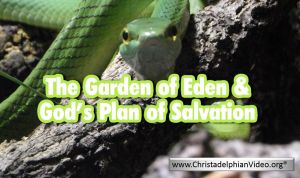 The Garden Of Eden and God's Plan of Salvation - Video post