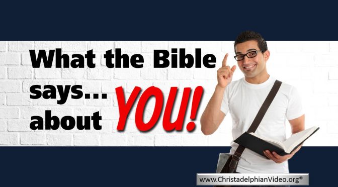What the Bible Says About You!