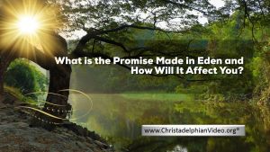 What is the Promise Made in Eden and How Will It Affect You?