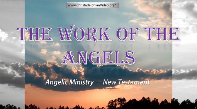 The Work Of The Angels Study Series (Rugby) Video Bible Study Series
