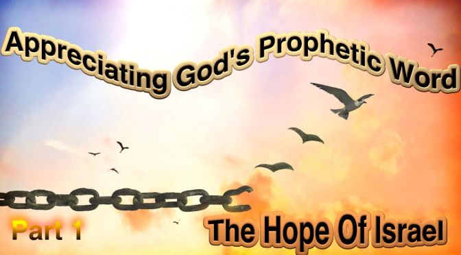Appreciating God's Prophetic Word: 6 Videos Aimed at Young People Bible Study Series