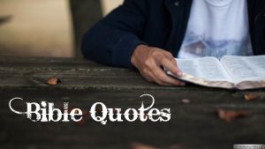 Bible Quotes: 12 Part series