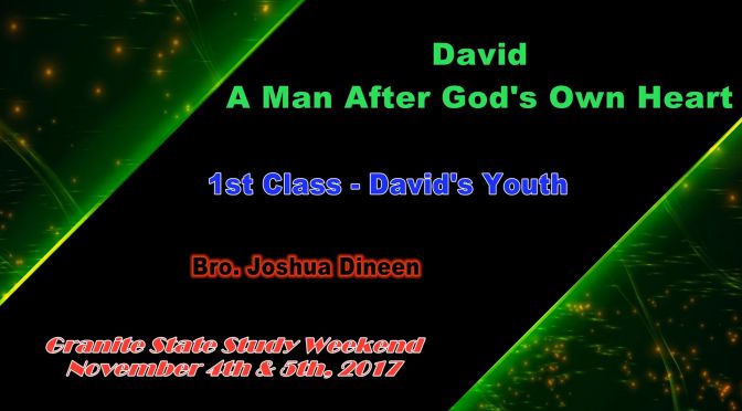 David, a Man After God's Own Heart - 5 Part Video Bible Study Series