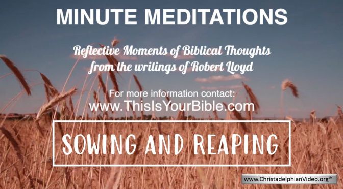 Minute Meditation Video Episode: Sowing and Reaping