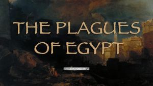 The Plagues of Egypt - 6 Videos