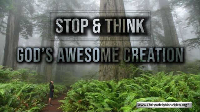 Stop & Think about God's Awesome Creation