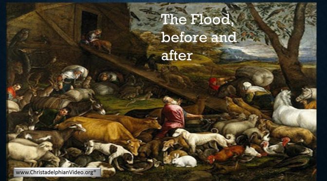 The Flood - Before and after: 2 Videos