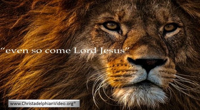 The Lion of the Tribe Of Judah