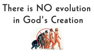 Theistic Evolution Article: Questioning Fundamental Teachings