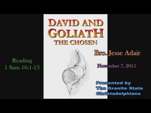 David and Goliath (5 Videos)