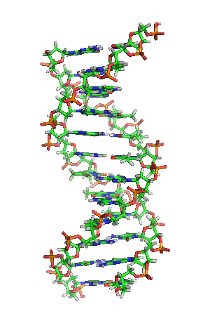 DNA_orbit_animated