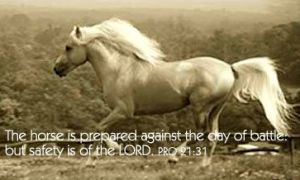 Evidence of Design in The Creation: The horse is prepared against the day of battle