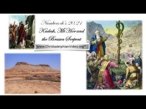 Studies in Numbers:Kadesh, Mt Hor and the Brasen Serpent