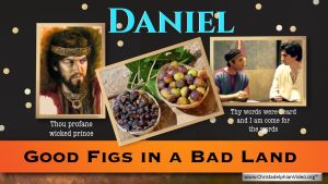 Good Figs in a Bad Land - Daniel