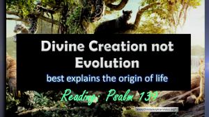 Divine Creation NOT Evolution best explains the origin of life!