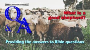 Bible Q&A: What is a Good Shepherd?