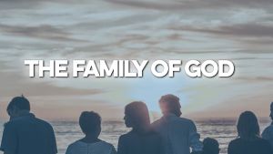 Kingdom Families - 2 Videos