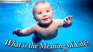 What is the meaning of Life?