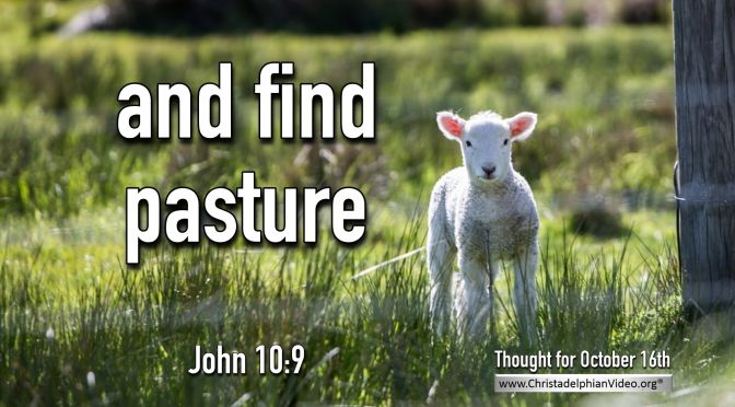Daily Readings & Thought for October 17th. “… AND FIND PASTURE” 