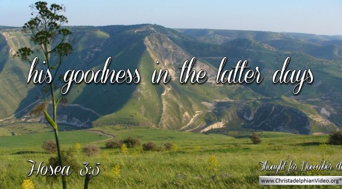 Daily Readings & Thought for November 6th. “HIS GOODNESS IN THE LATTER DAYS”