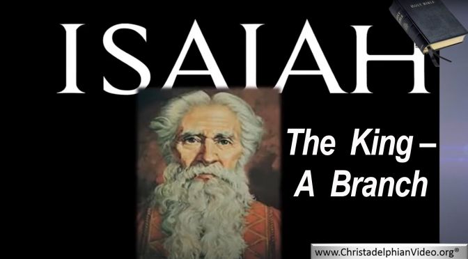 Isaiah: The King - A Branch