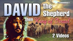 David the Shepherd, Then King of Israel - 2 Videos