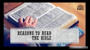 The Bible and its Uniqueness & Reasons to read it!
