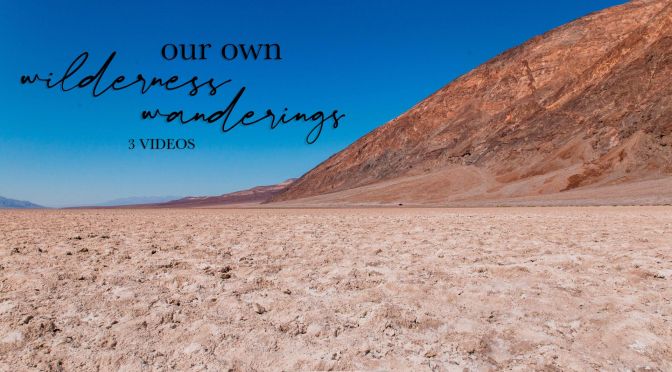 Our own Wilderness wanderings - 3 Videos