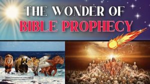 The wonder of Bible prophecy!